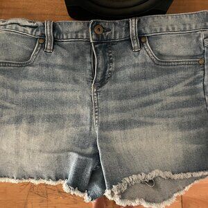 Carve Designs Light Blue Jean Shorts